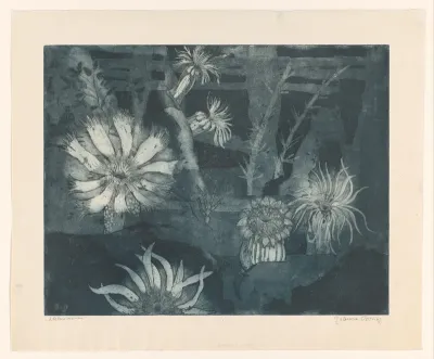 Zeeanemonen