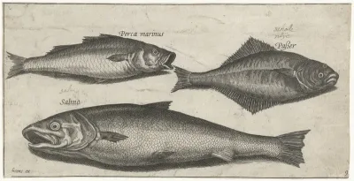 Zeebaars, tong en een zalm