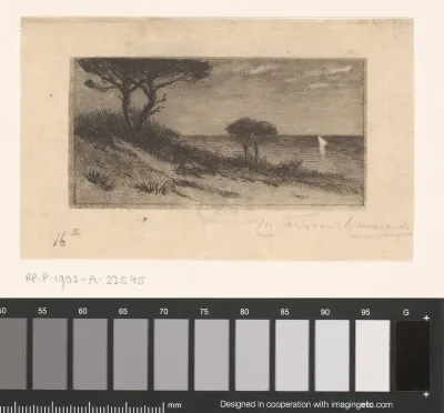 Zeegezicht met duinen op Porquerolles