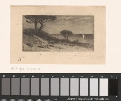 Zeegezicht met duinen op Porquerolles