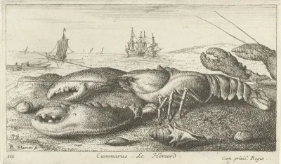 Zeekreeft op het strand