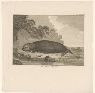 Zeeotter
