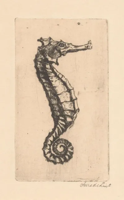 Zeepaardje
