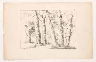 Zes bomen