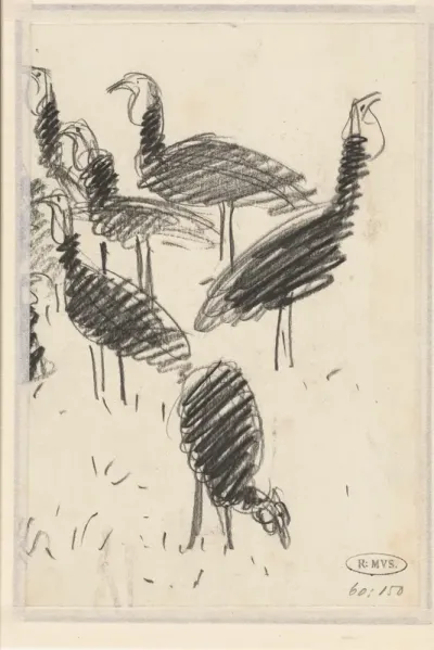 Zes kalkoenen