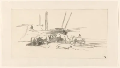 Zes ossen, aan het strand