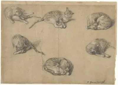 Zes studies van een kat