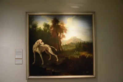 Zette, chienne de la meute de Louis XIV