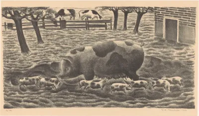 Zeug met acht biggen