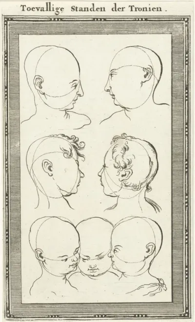 Zeven hoofden