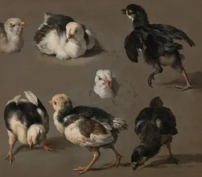 Zeven kuikens