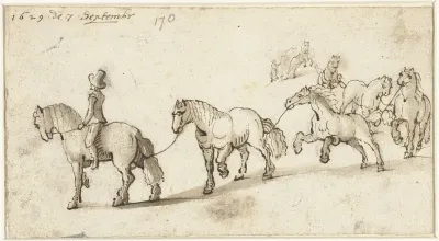 Zeven paarden op een rij