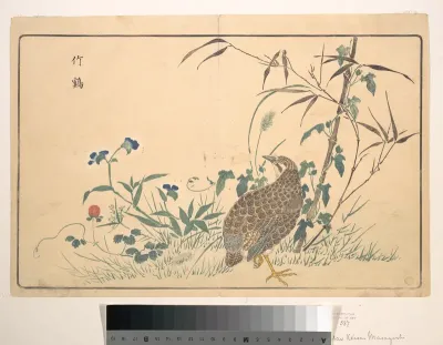 Zhu ji