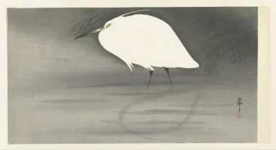 Zilverreiger