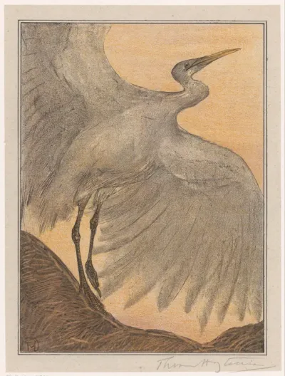 Zilverreiger