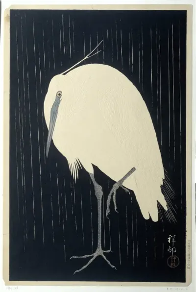 Zilverreiger in de regen