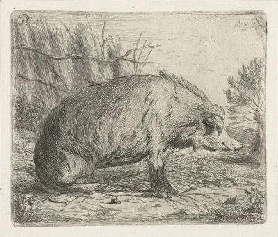 Zittend everzwijn