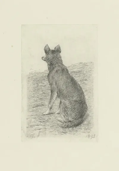 Zittend hond van achter gezien