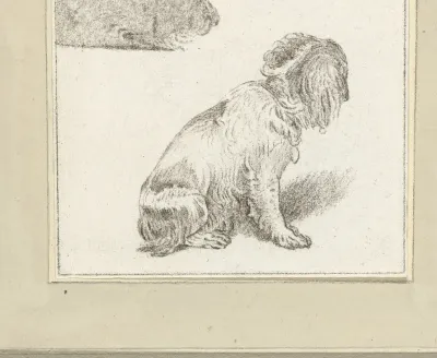Zittend hondje