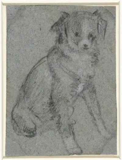 Zittend hondje