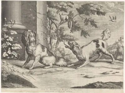 Zittende en blaffende hond bij eekhoorn