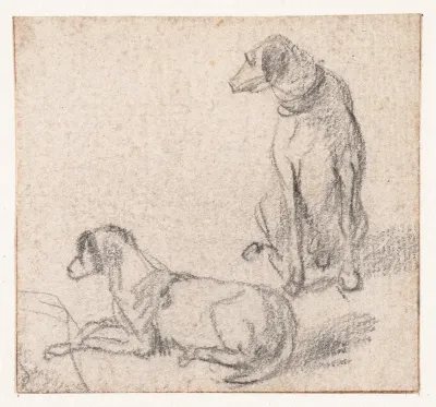 Zittende en een liggende hond
