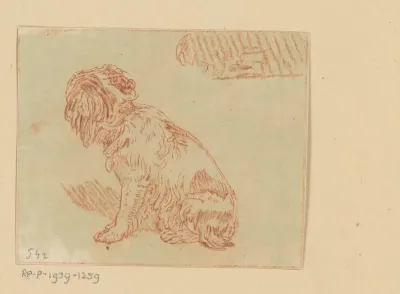 Zittende hond
