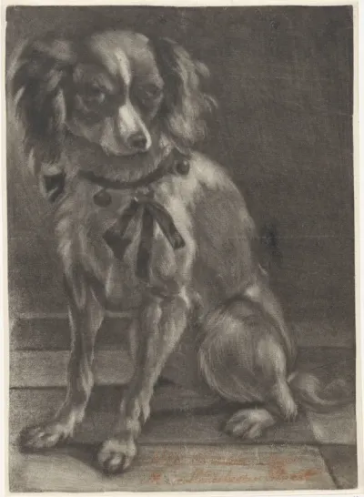 Zittende hond