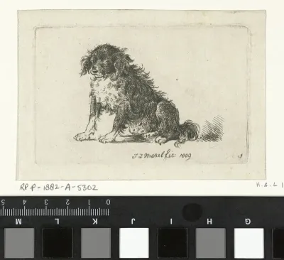 Zittende hond