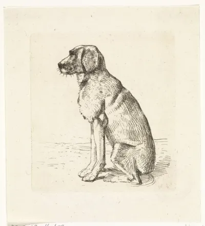 Zittende hond