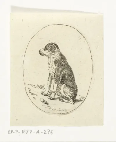 Zittende hond