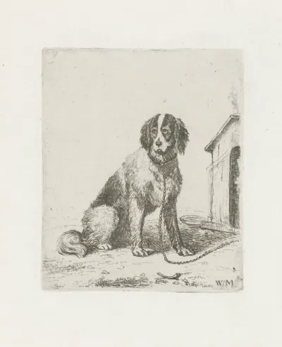 Zittende hond aan de ketting bij een hondenhok