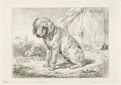 Zittende hond bij een schuur