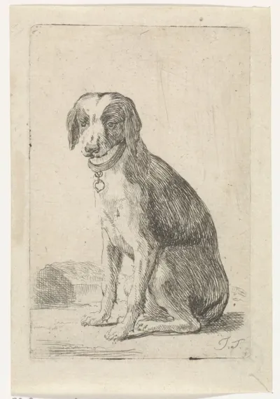 Zittende hond met halsband