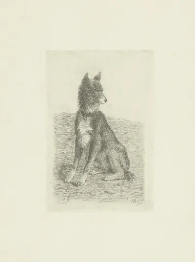 Zittende hond met kop naar rechts
