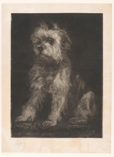 Zittende hond, mogelijk een Cairn Terrier