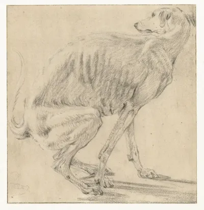 Zittende hond, zich ontlastend, van opzij gezien