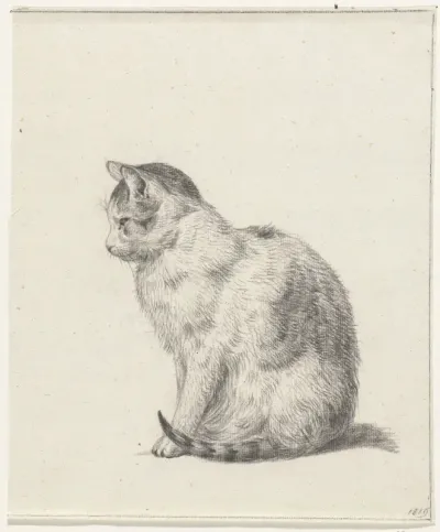 Zittende kat, naar links