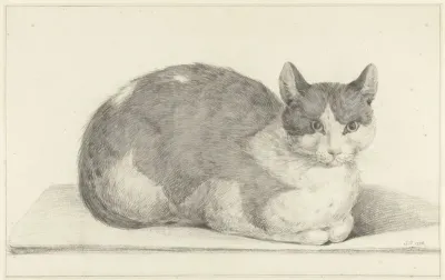 Zittende kat, naar rechts