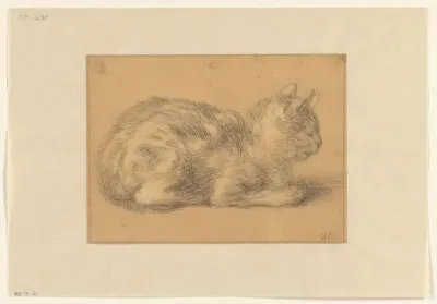 Zittende kat, naar rechts