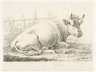 Zittende koe