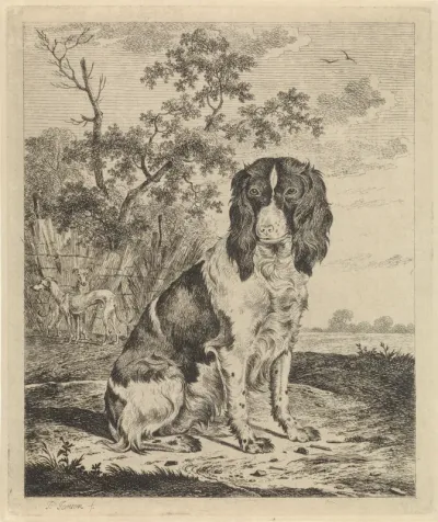 Zittende patrijshond