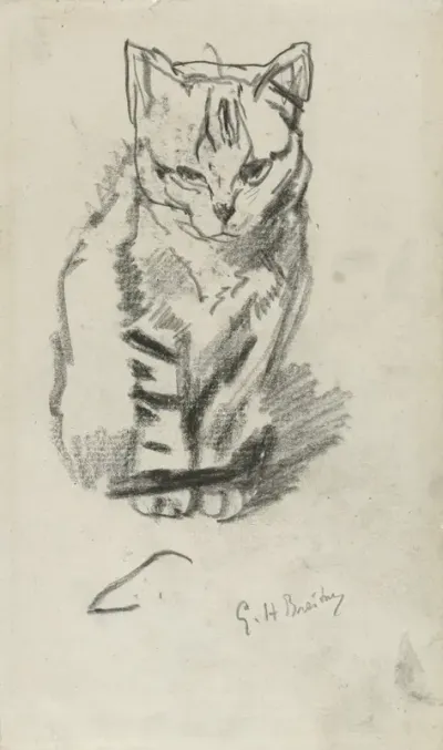 Zittende poes