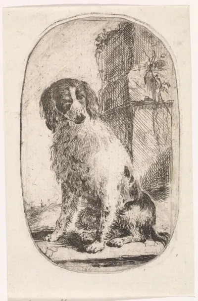 Zittende spaniel