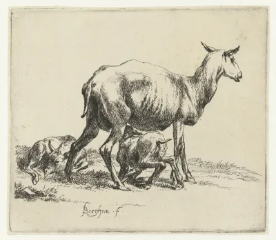 Zogend schaap met lammeren