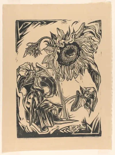 Zonnebloem