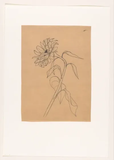 Zonnebloem van opzij