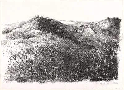 'Zonnig' duinlandschap