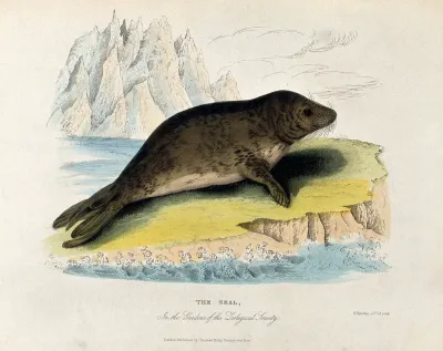 Zoological Society of London: a seal