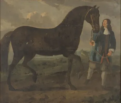Zwart paard door een stalknecht geleid
